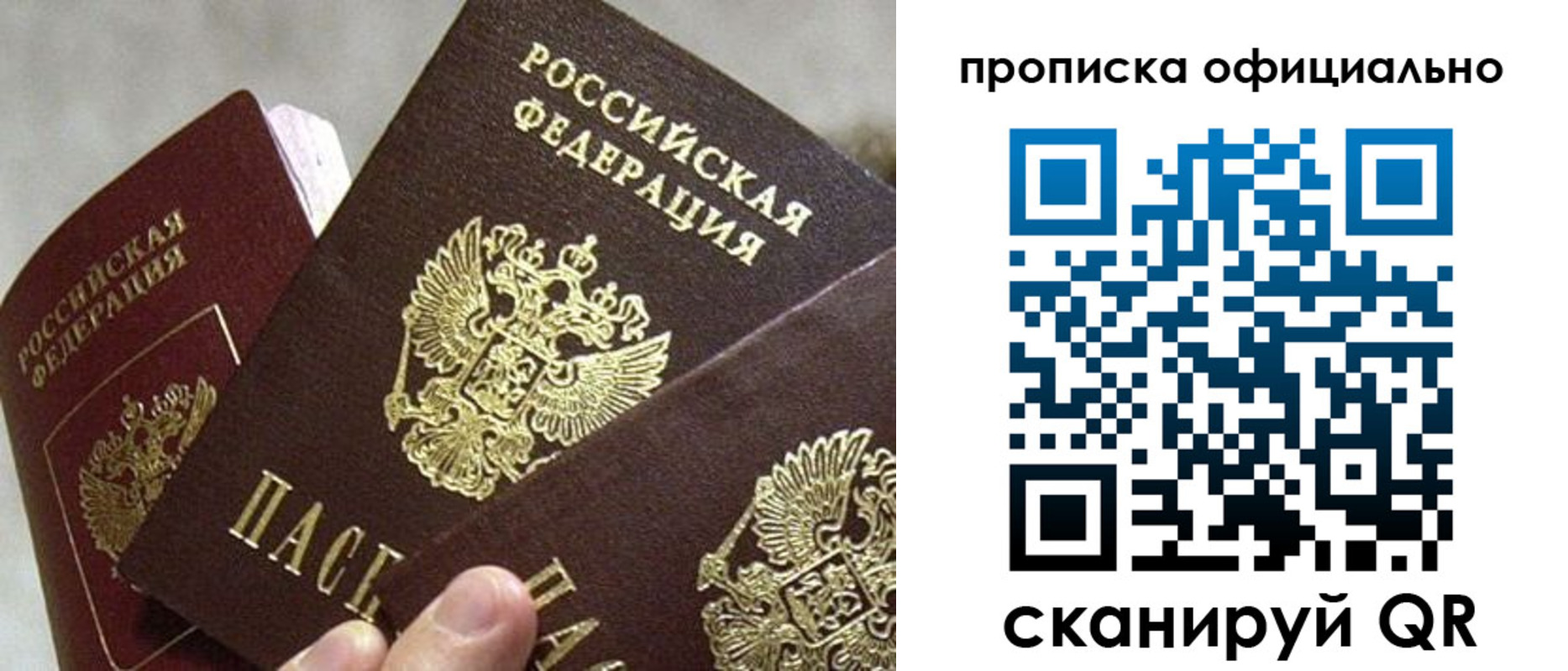 прописка гарантия в Каменке